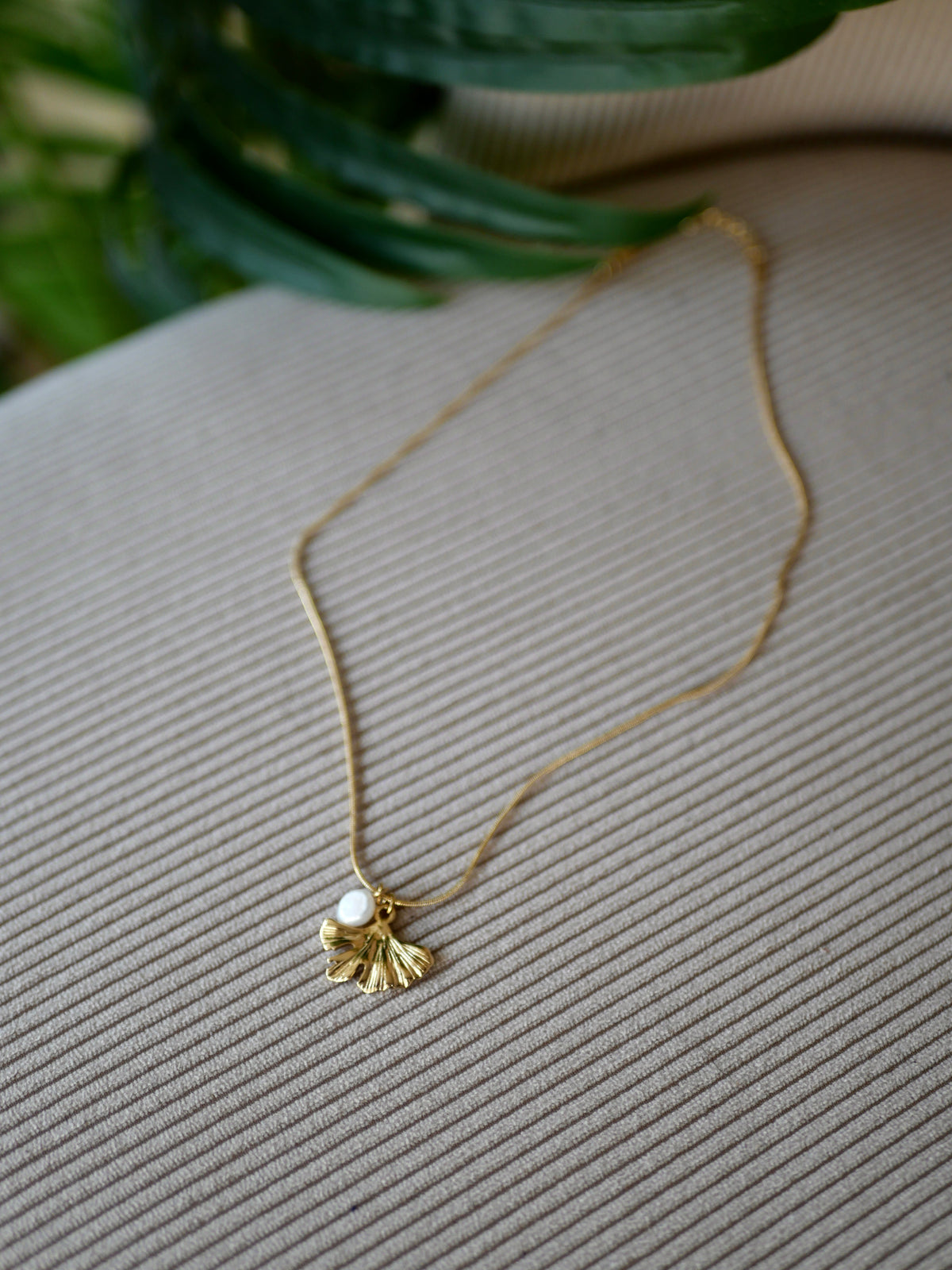 COLLIER SHELL