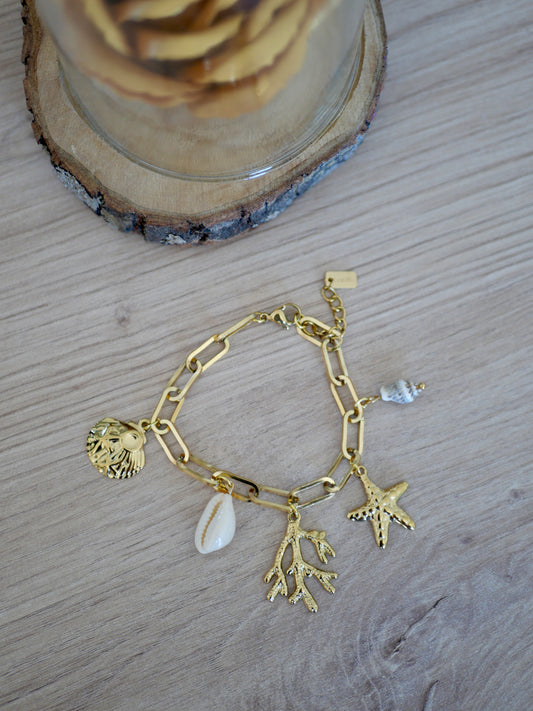 BRACELET BEACH