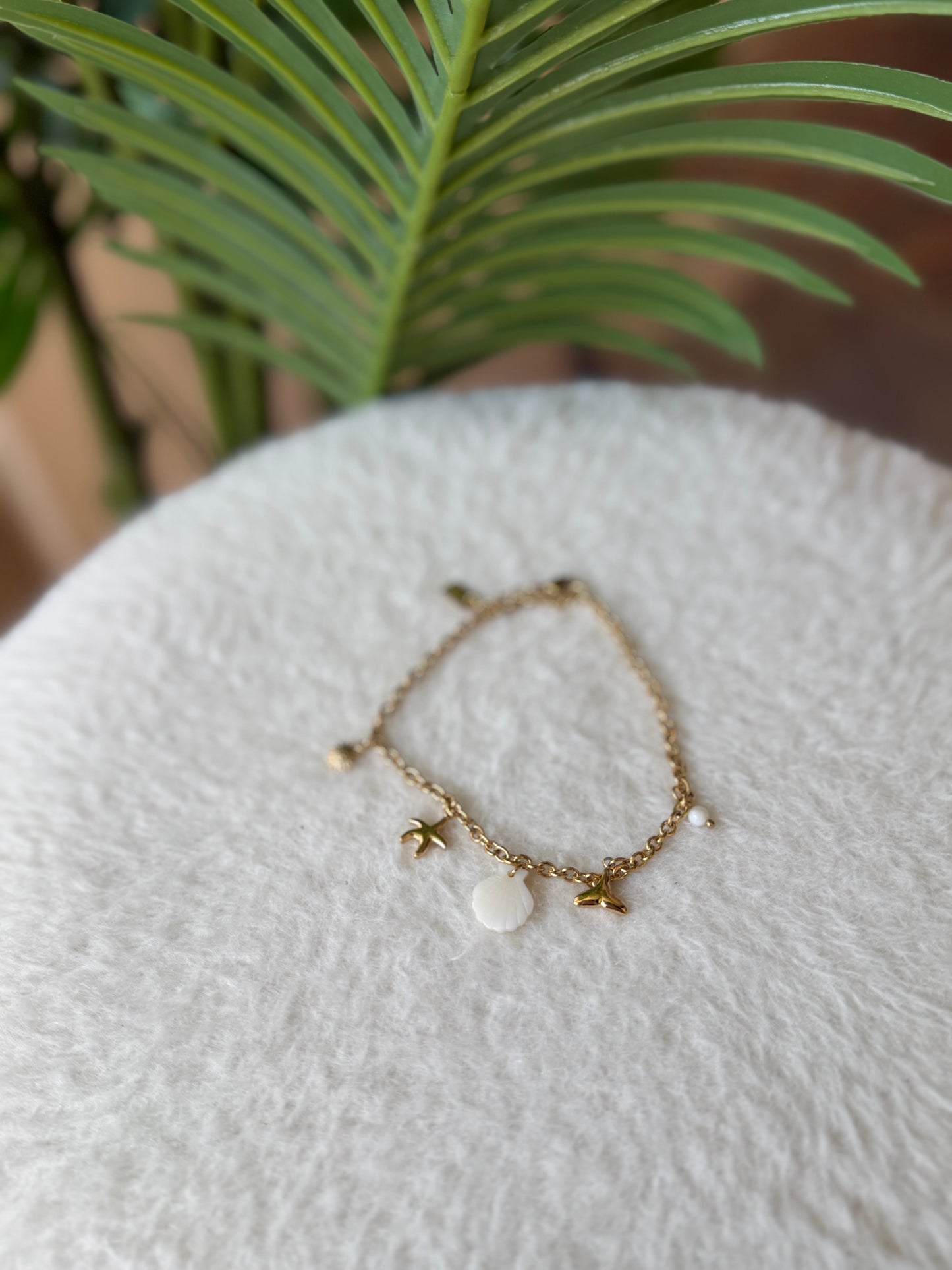 CHAINE DE CHEVILLE COQUILLAGE